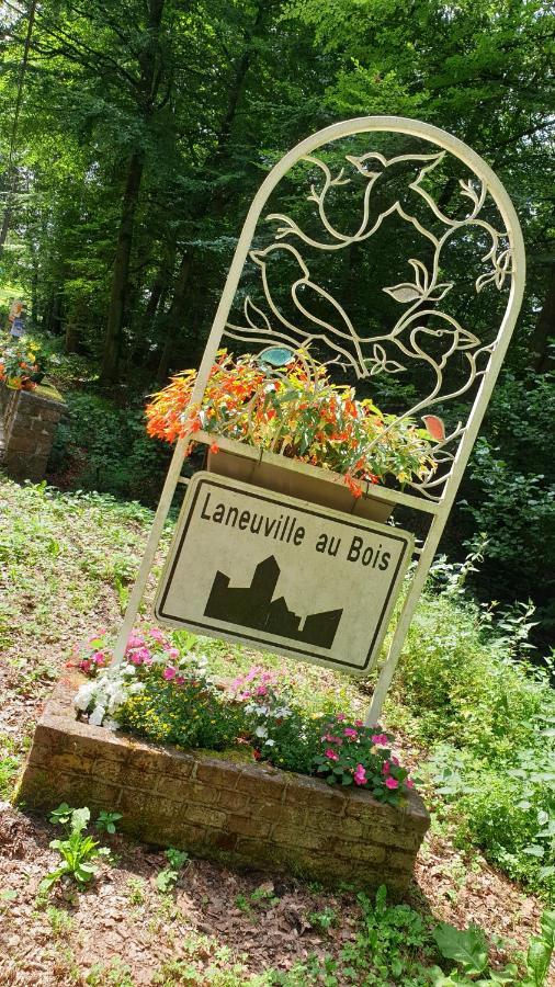Le Prangeleux Bed & Breakfast Tenneville Екстериор снимка